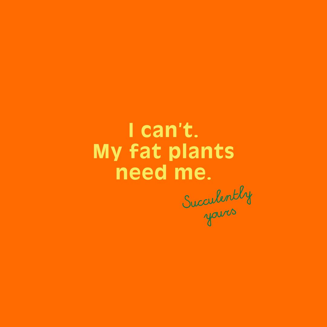 fabfatfriends's tweet photo. Hello Monday! 🌵🌱🎍

#fabulousfatfriends #monday #mondaymood #plantesvertes #mondaymotivation #lundimotivation #maplantemonbonheur #succulove #botanique #plantesgrasses #plantlife #plantlover #plantesgrassesaddict #mercilesplantes #plantsarefriends #thejoyofplants https://t.co/CfRxzejKDC