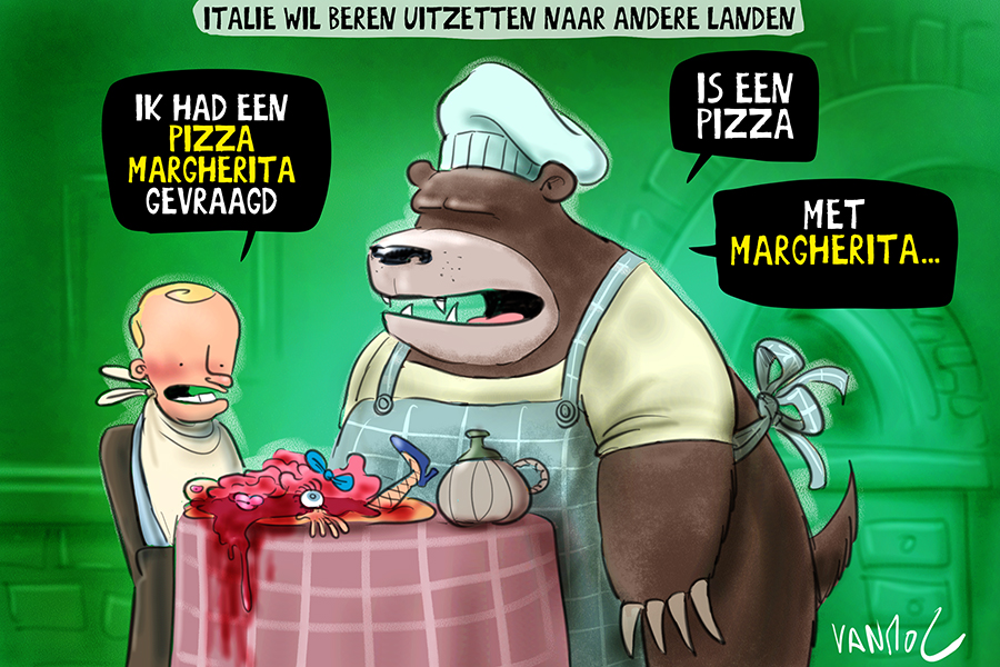 Italië wil beren over de grens zetten na dood jogger.

#doorbraak #vanmol #cartoon #vanmoltoons #beren #Italië #jogger #pizza #PizzaMargherita