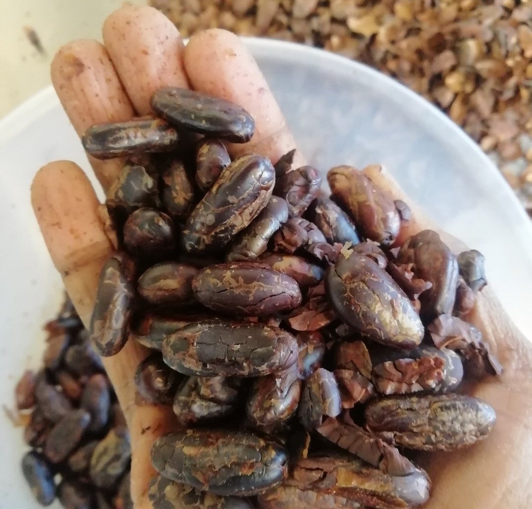 OkusanyaOyin's tweet image. Discover how to make chocolate from cocoa beans,history of chocolate, taste different flavours of chocolate at the chocolate workshop funded by Barking Riverside Ltd this Saturday, 29th April
@barking_riverside @barkingriversideevents @ChocolateOyin
 #madeinbarking #darkchocolate