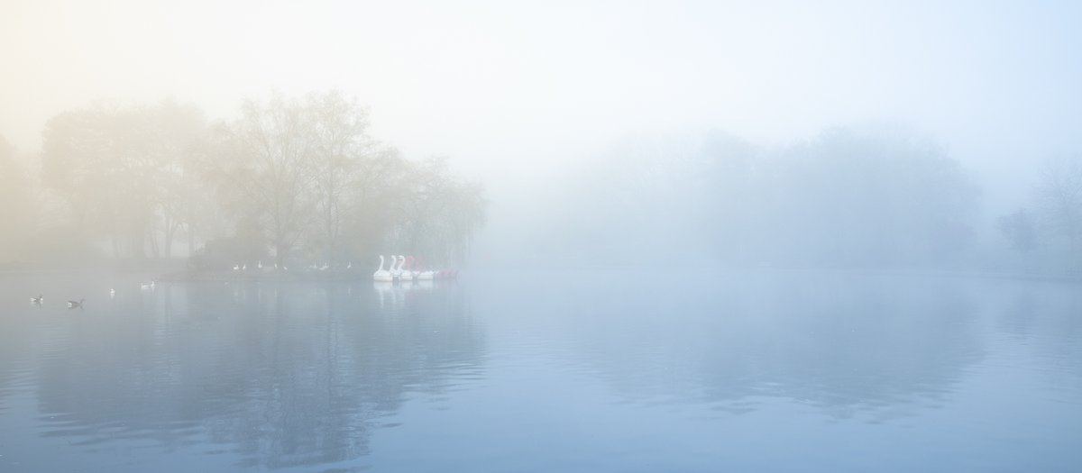 The low morning sun breaking through the fog at my local park.  Conditions like this normally only occur when I'm in work. #sharemondays