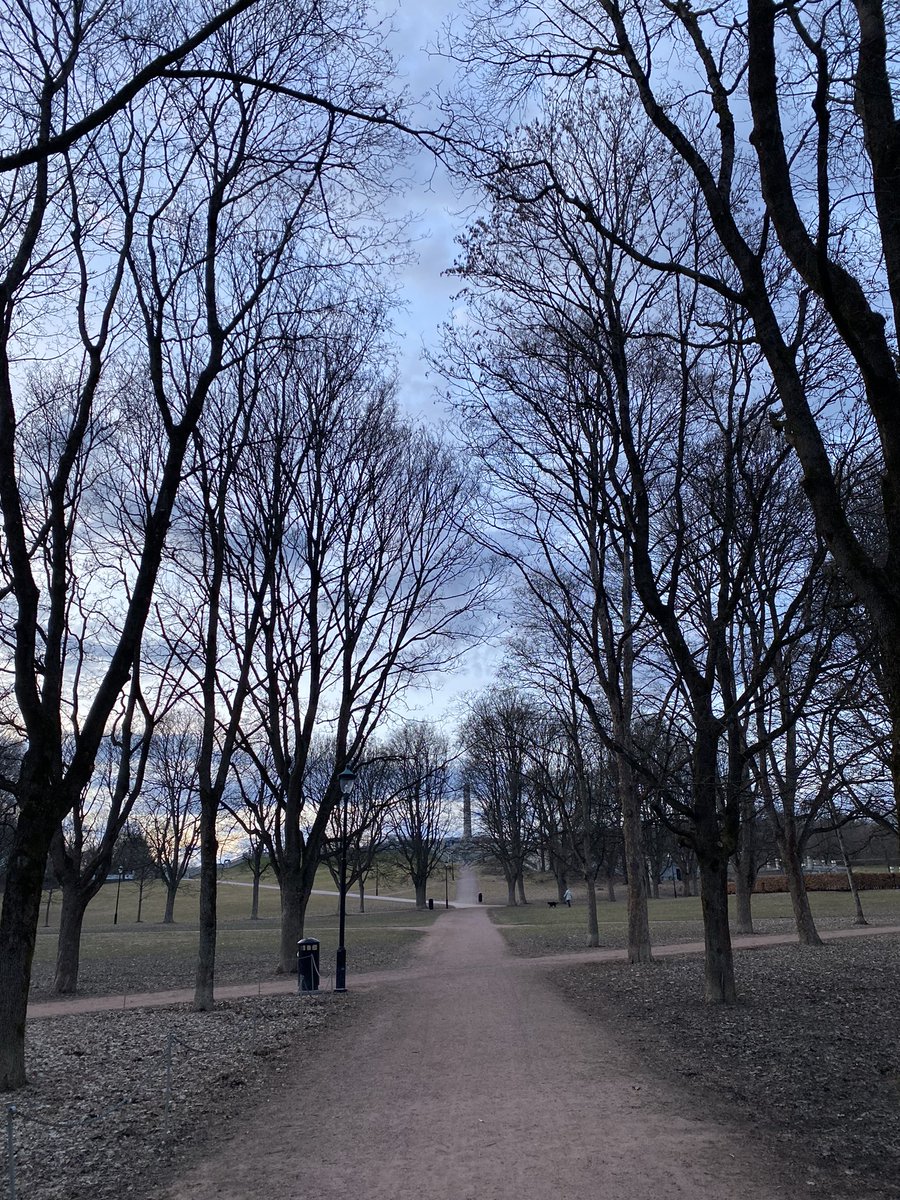 MarilenaKaramatsouki tweet media