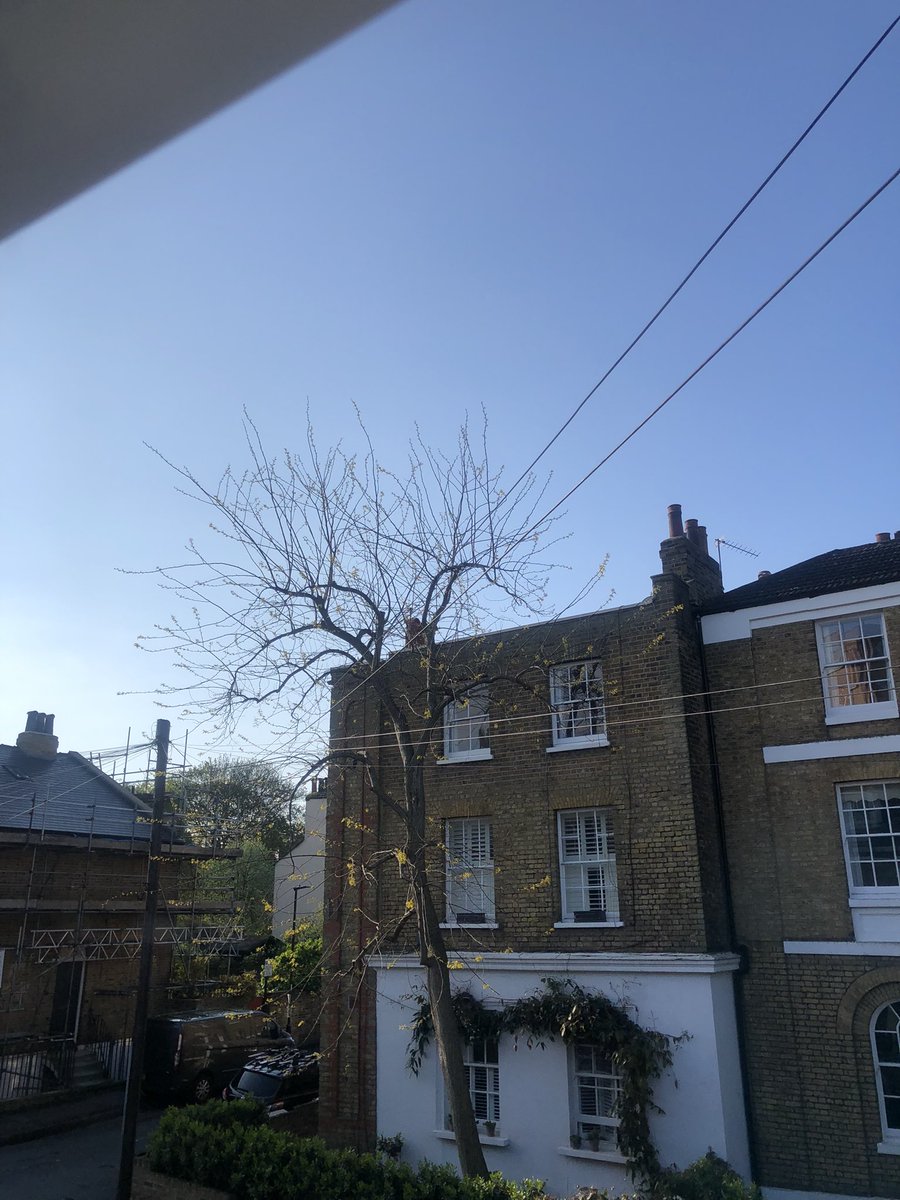 nmkd_LDN's tweet photo. @bbcweather Forecast vs reality https://t.co/JwqStwBvu8