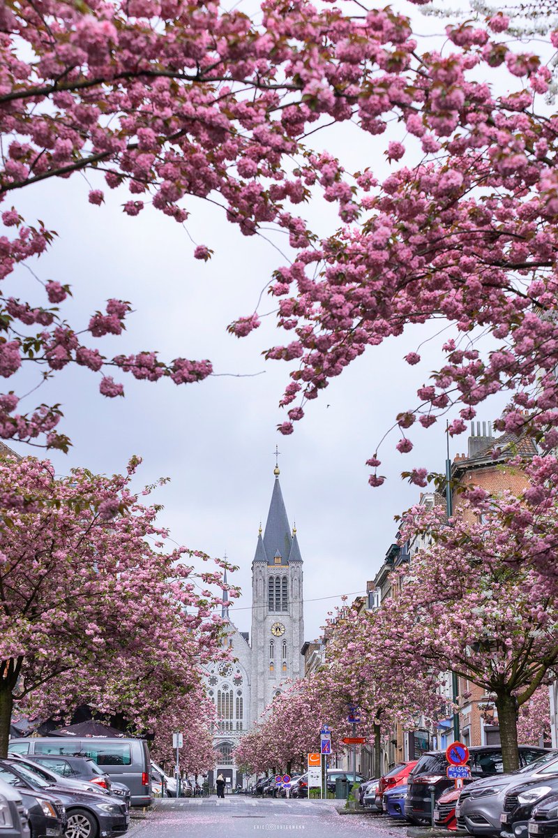 Av. Jules Malou , Etterbeek #bruxelles #brussels #etterbeek