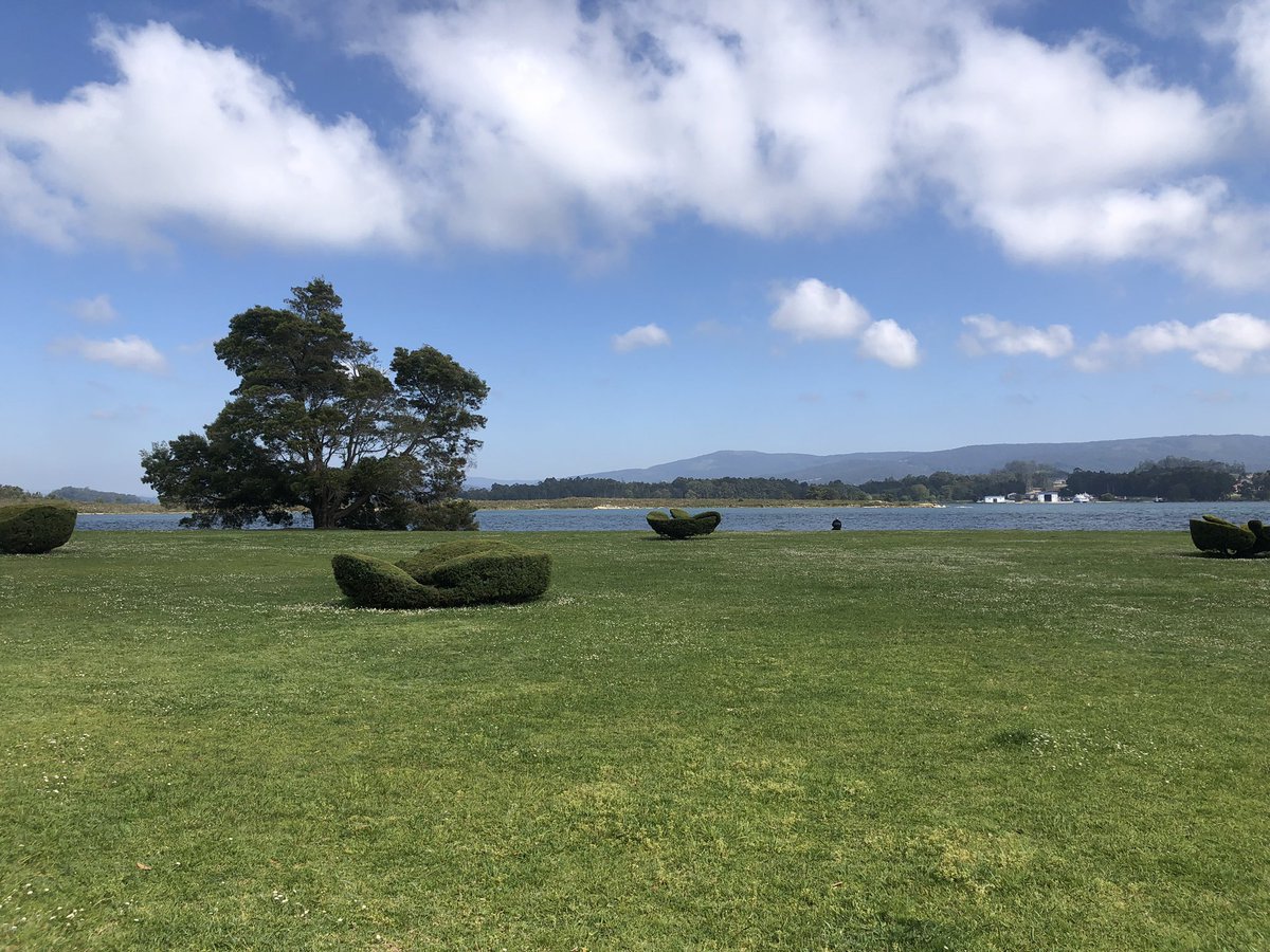 AlmoroxPau's tweet image. Back in the islands after some very inspiring days in O Grove @EuroCetSoc ,sharing,listening and discussing about marine mammal science during the #ECSConference2023 and during the “What’s new in cetacean pathology” workshop, organized by our team @IUSAeu @Toniovetpath 🐬🔬👩🏼‍⚕️