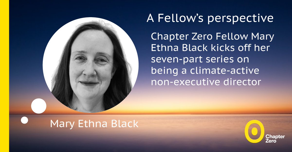 Chapter Zero Fellow Mary Ethna Black kicks off her seven-part series of ‘two-minute reads’ on being a climate-active non-executive director.

Take a look: bit.ly/41PJS7y