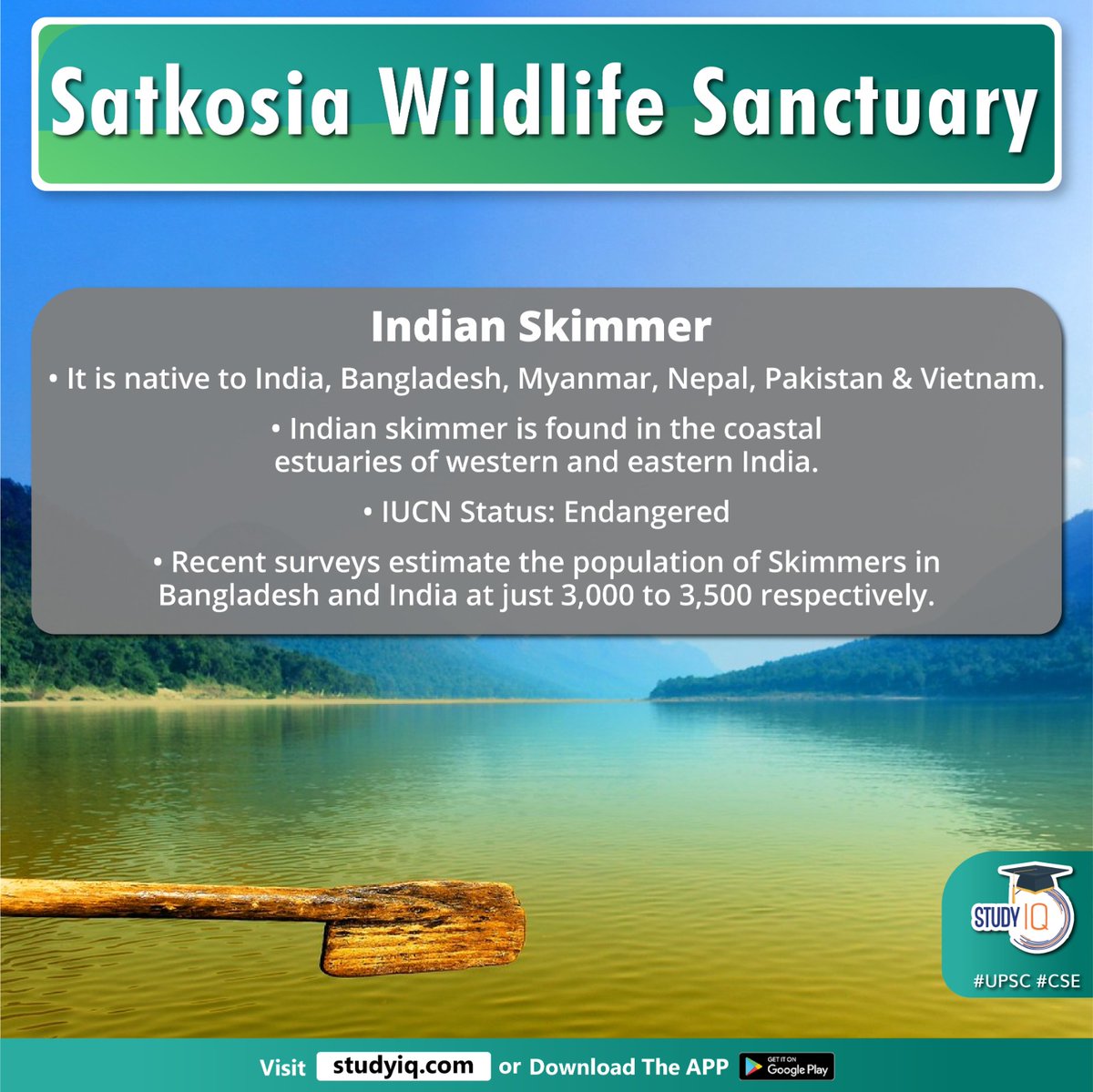 upsciq's tweet photo. Satkosia Wildlife Sanctuary
#satkosiawildlifesanctuary #whyinnews #indnianskimmers #wildlifesanctuary #mahanadiriver #odisha #satkosiaoriginates #gharials #muggercrocodile #rareturtles #chitraindica #indiansoftshellturtle #satkosiatigerreserve #baisipallisanctuary #india https://t.co/gpNponLU6m