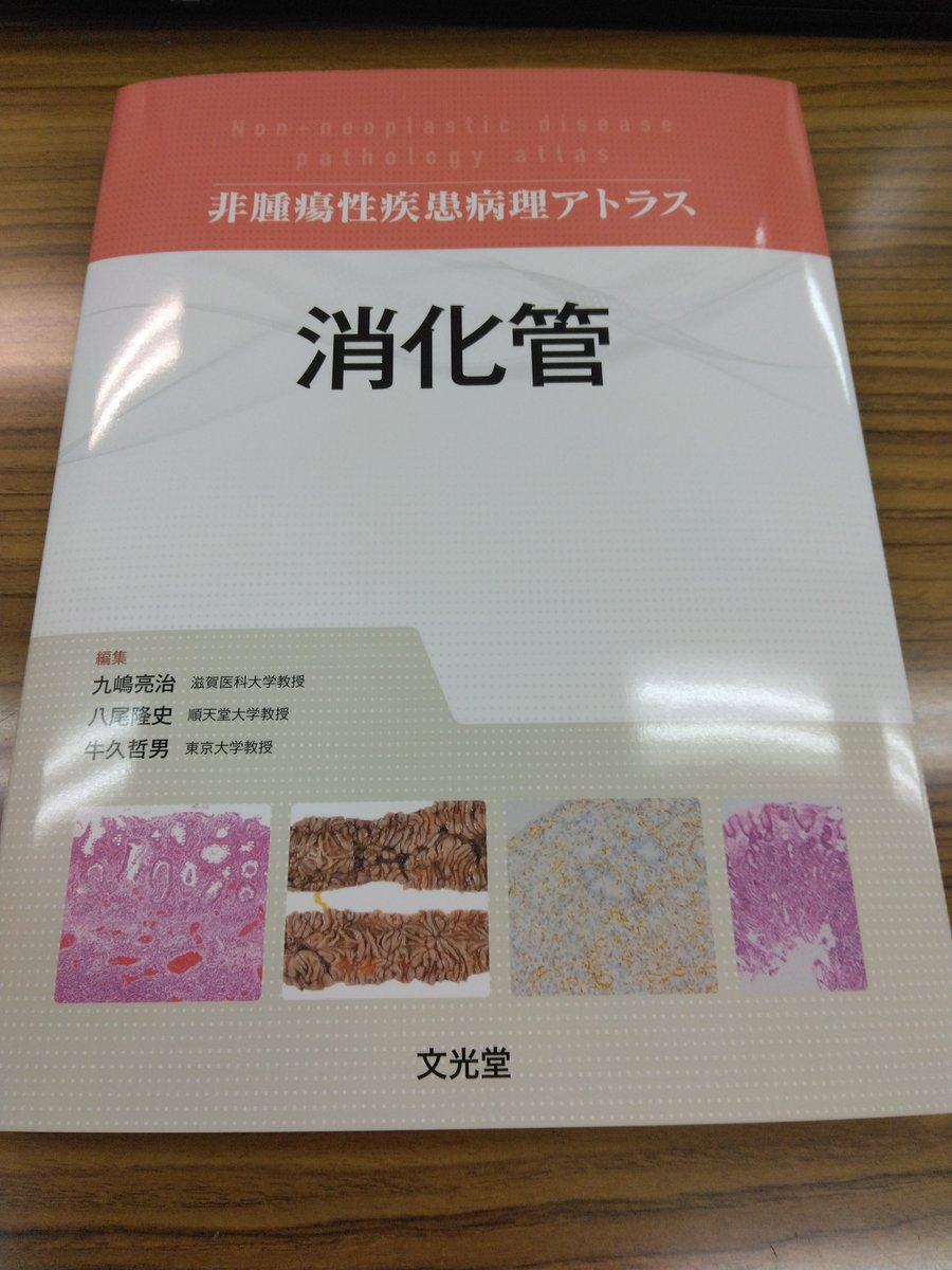 在庫一掃】 リンパ組織 非腫瘍性疾患病理アトラス zppsu.edu.ph