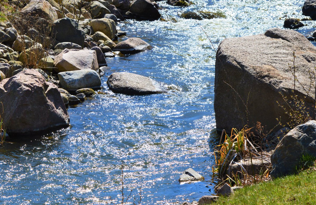 BlueBlue96yo's tweet image. Feels like summer 🌸📸