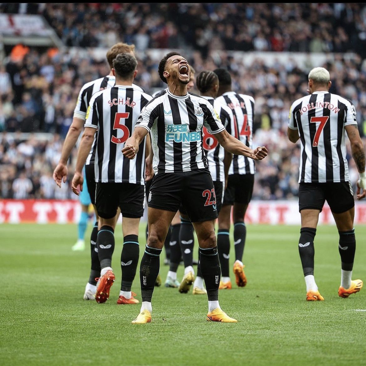 Murph (NUFCMurph) / Twitter