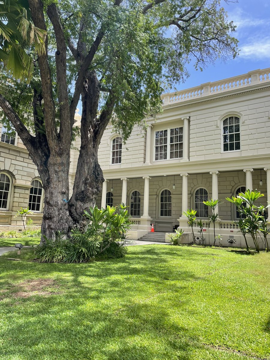 yyconsulting197's tweet image. The AC in the office is too strong😂
My feet are freezing!!!!!!

Taking a break outside….👩‍💻

#newenvironment #hawaiilife #newcareer #newchapter #Blessed