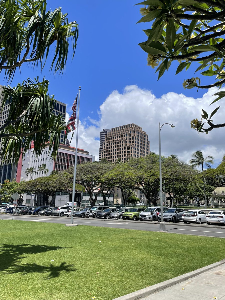 yyconsulting197's tweet image. The AC in the office is too strong😂
My feet are freezing!!!!!!

Taking a break outside….👩‍💻

#newenvironment #hawaiilife #newcareer #newchapter #Blessed