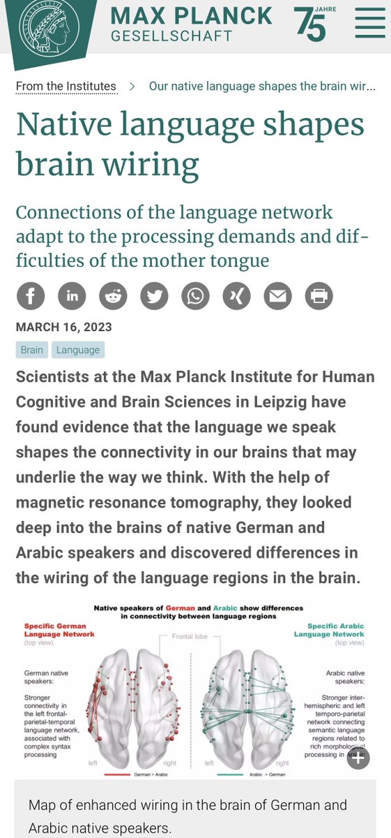 دراسة ألمانية: أدمغة الناطقين باللّغة العربية مختلفة عن أدمغة الناطقين بلغات أخرى.

علماء بمعهد «ماكس بلانك» للعلوم الإدراكية والدماغية في ألمانيا وجدوا بأن أدمغة الناطقين باللّغة العربية مختلفة عن الناطقين بلغات أخرى واكتشفوا وجود ارتباط قوي بين نصفي الدماغ الأيمن والأيسر لديهم