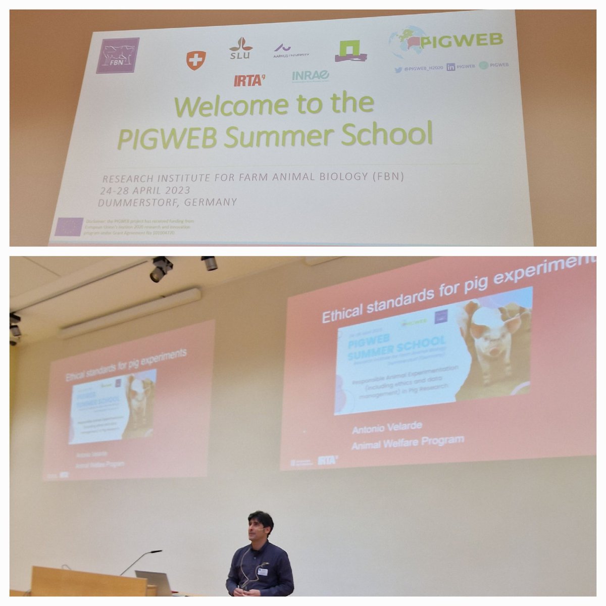 Beautiful morning at <a href="/FBNBehavPhys/">Institute of Behavioural Physiology (FBN)</a>, starting the <a href="/PIGWEB_H2020/">PIGWEB</a> summer school  on Responsible Animal Experimentation in Pig Research. First speaker is Antonio Velarde from <a href="/irtacat/">IRTA</a>, who will speak about animal welfare and animal welfare assessment.