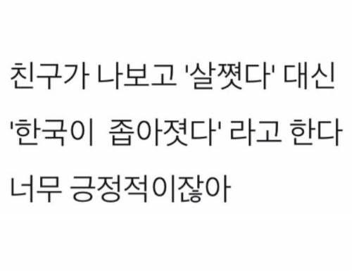 나도 앞으로 살쪘다 대신 이 말 쓸거임