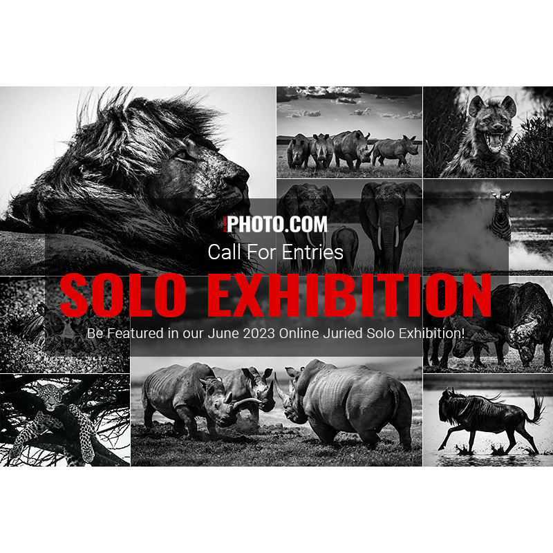 Solo Exhibition June 2023
reflexlist.com/concorso-fotog…
#concorsofotografico #photocontest #callforartists
@allaboutphotoco