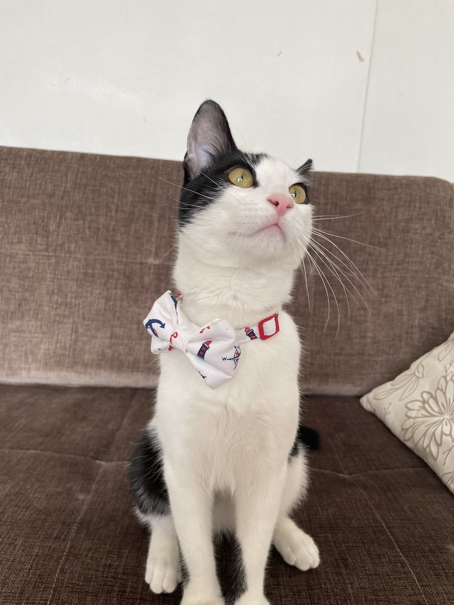 malesfberfin's tweet photo. yaşamak istiyordu ben de elimden geleni yaptım 🥲🫶🏻 https://t.co/utMYrazTOh