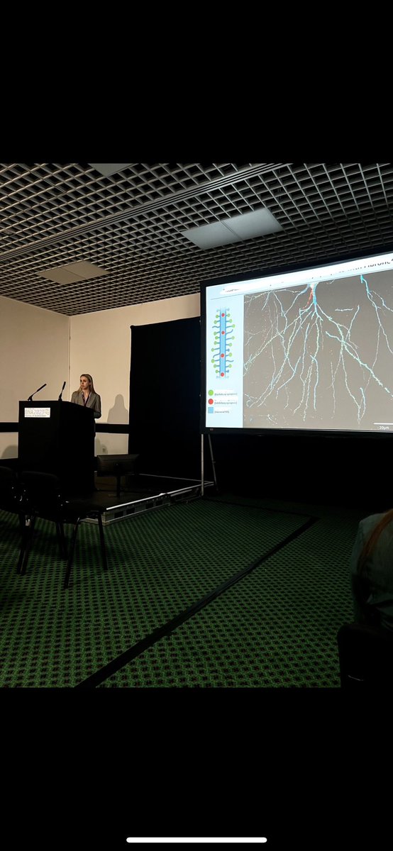 Shorton_Neuro's tweet image. A great first day at #BNA2023, and a successful rapid-fire talk! Thanks to all that came along! Don’t forget to come and chat at my poster today, 1.50-3.30 in Zone 3.