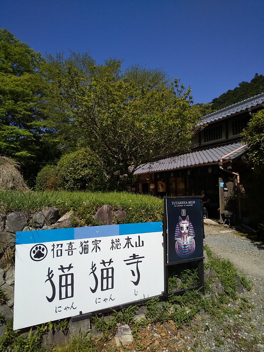 net_iwamoto's tweet photo. 最終日前日ようやく行くことができました！
猫猫（にゃんにゃん）寺という名前ですが、本物の宗教施設ではないのでお休みもあります。この日は住職猫さんがお休みでした。残念。
襖絵や天井画など、猫モチーフのアート空間としても十分楽しめますよ。 https://t.co/4KCLfW0Rck