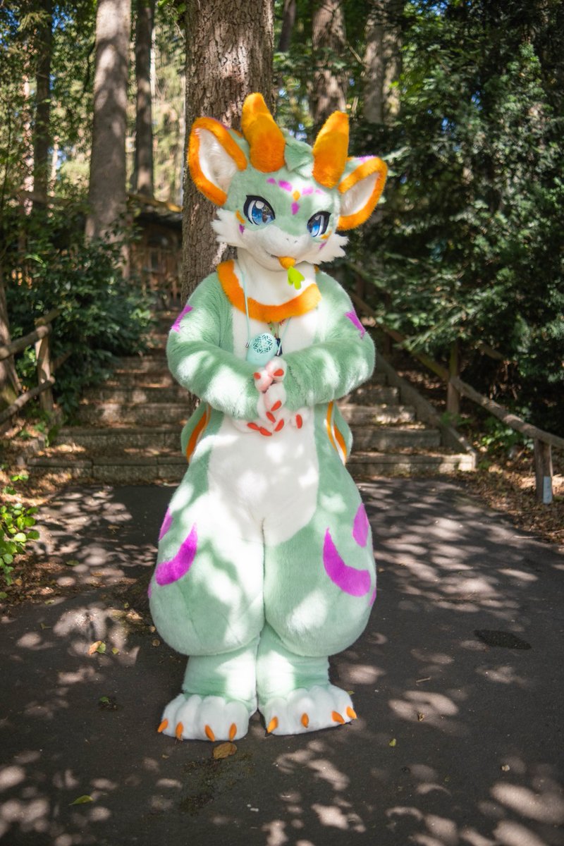 Ailurus, Ryūki & Júzǐ tweet media