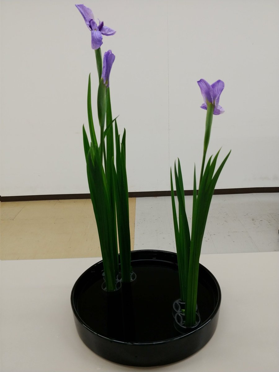 kadou_mit's tweet photo. 活動紹介『研究会』
4/23(日)　小原流室蘭支部にて研究会が開かれました
東京から講師がいらっしゃり、私たちの作品を採点、手直しして頂きました。
昨日は年に1度出るかわからない100点『優秀花』を部員が頂きました。とてもきれいです✨ https://t.co/mRMgXVOhJA