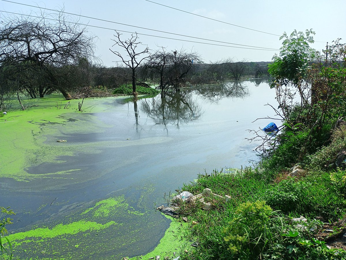 Dha3r_Ngo's tweet photo. Progress at snails pace for
#AutoNagar Chemical smell issue. Residents are dying a slow death.
@TelanganaPCB @TSIICLtd @D_SudheerReddy @KoppulaBJP
@TelanganaCMO @KTRBRS
@sudhakarudumula @CommissionrGHMC @TSFDCL
#SaveVanasthali #CantBreathe
#Hyderabad #Pollution #SaveDeers https://t.co/EK8St8Fg2x