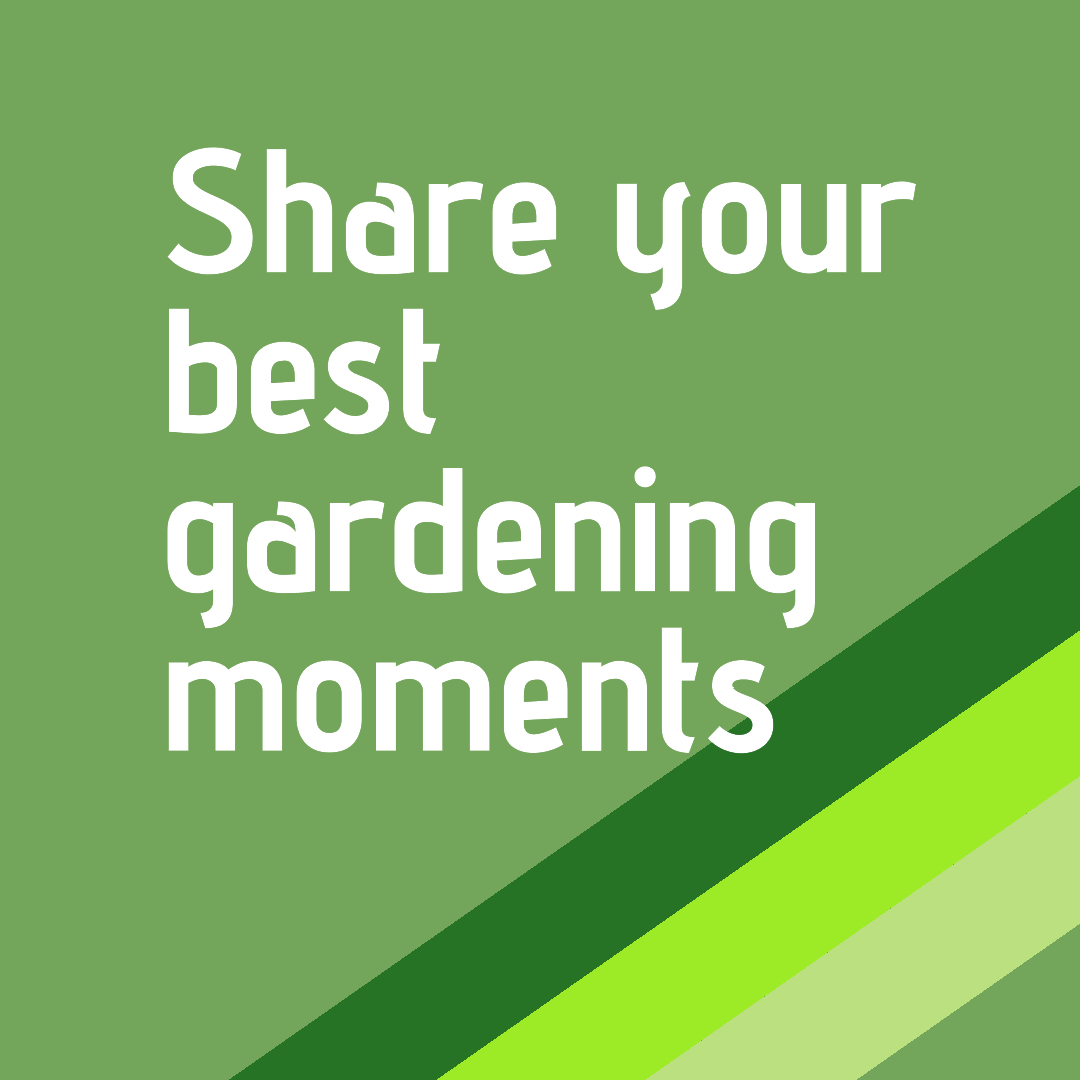 Global Gardens tweet media