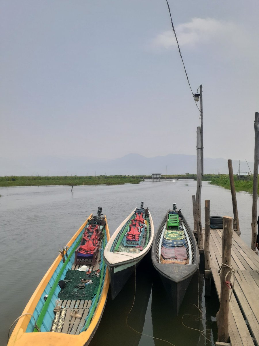 u aye chan tweet media