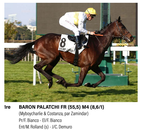 Fedeprogalop's tweet photo. BARON PALATCHI s'impose dans le Prix du Chateau Pélican à Saint-Cloud (21/04) ! Félicitations à son propriétaire : Frédéric Bianco 🙌
#OwnInFrance https://t.co/jy2zP1uezJ