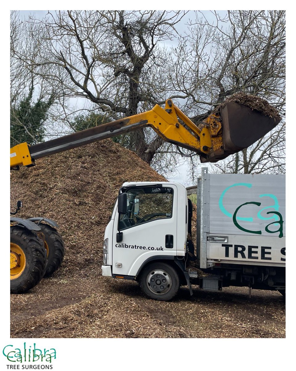 🍃Did you know we sell woodchip/mulch by the truckload?

🍃 Charities and schools - we can offer you FREE woodchip in exchange for displaying one of our signs :) 

🍃Pop us a message to book your delivery.
#bracknell #treesurgeon #berkshire