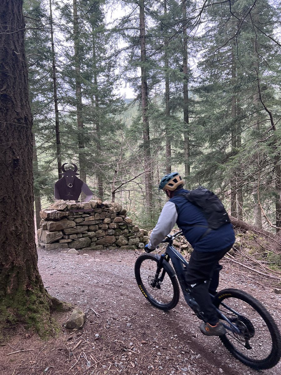 swillpaul's tweet photo. Coed y Brenin stunning https://t.co/k45HoflB1o
