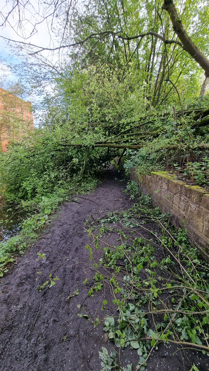 SpringerMurphy's tweet photo. @CRTNorthWest @CRTContactUs tree down across canal path netween Middleton Road and Laurel Ave Chadderton. OL9 postcode are. #Rochdale canal https://t.co/c0hA39FYai