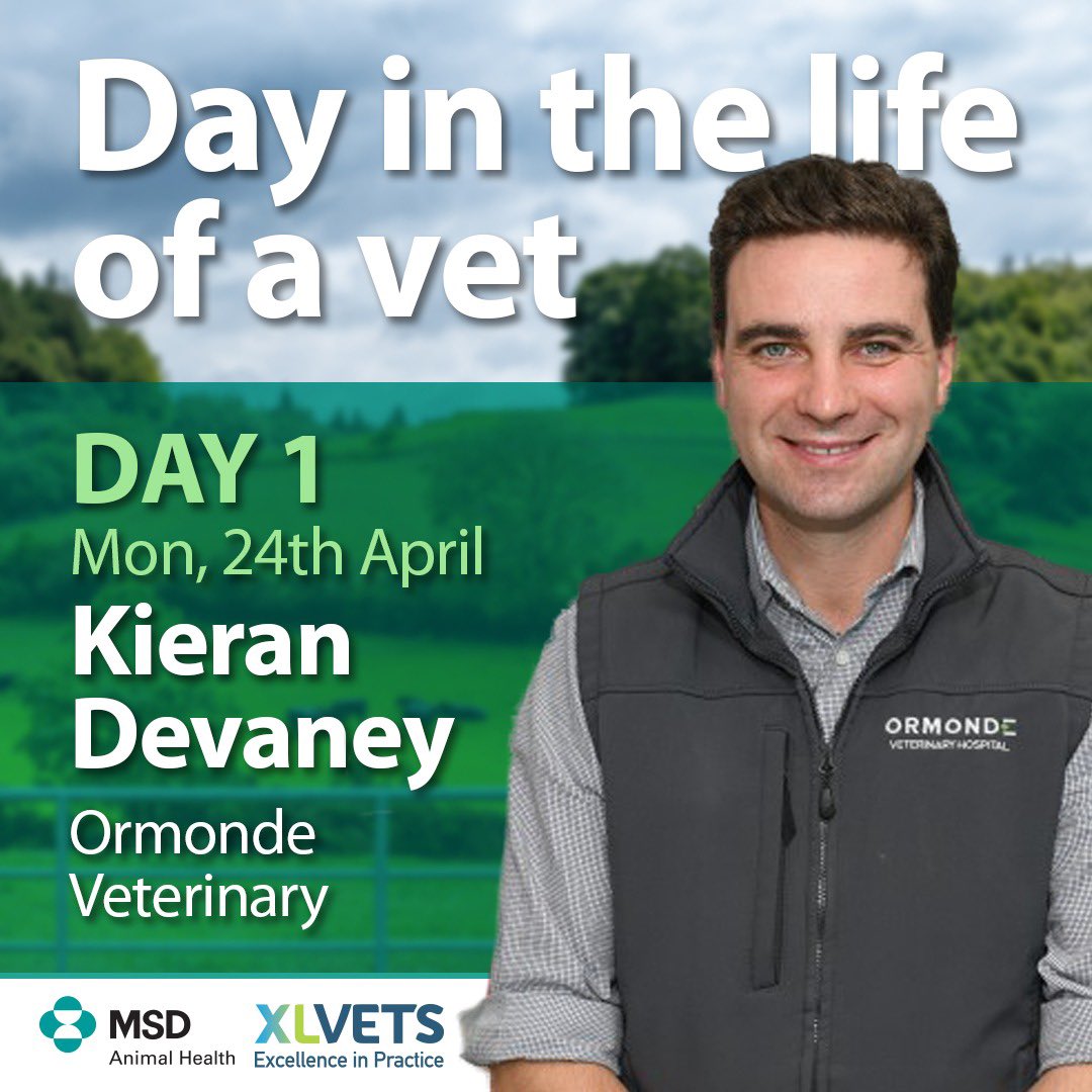 MSD Animal Health - Livestock tweet media