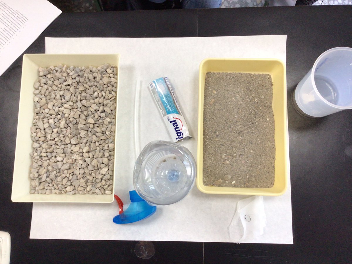 Ana Guirao tweet media