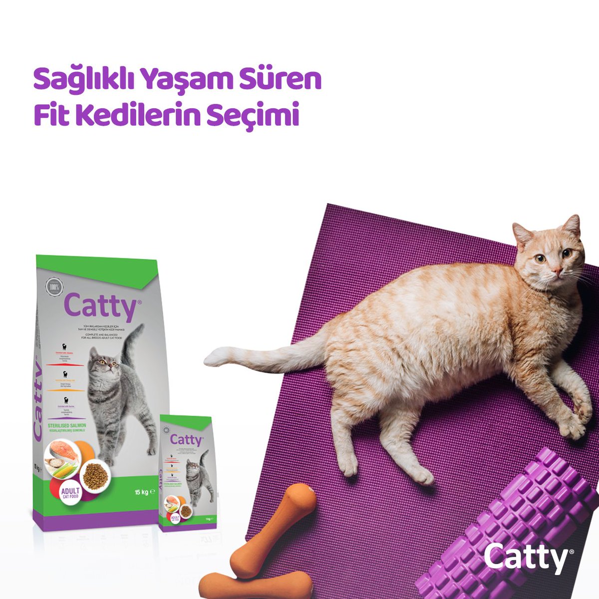 CattyCatFood's tweet photo. Özel formülü kilo kontrolünü sağlarken lezzetten ödün vermek istemeyen kedilerin vazgeçilmezi! Kediniz için sa��lıklı ve mutlu yaşamın sırrı Catty Kısırlaştırılmış Yetişkin Kedi Mamasında.

#Catty #Kedi #KediMaması #YavruKedi #YavruKediMaması #Cat #CatFood #CatLovers https://t.co/eVQmjvP0An