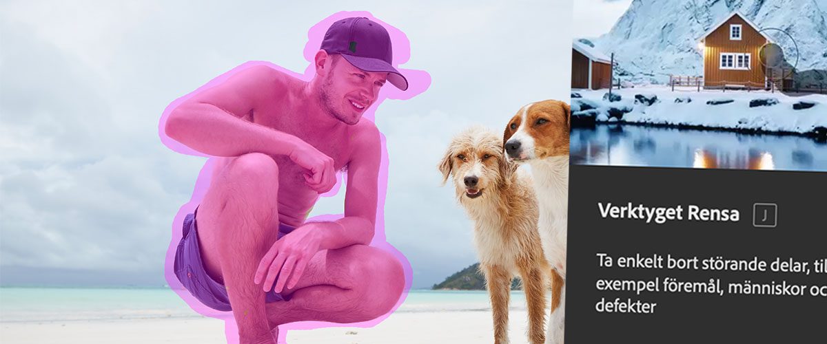 mediakurser's tweet photo. Det finns många sätt att ta bort objekt från bilder i Photoshop. Vi har Fyll med innehållsmedveten, alla lagningsverktyg och många fler. Alla de fungerar genom att sampla de omgivande pixlarna. Men det nya verktyget Rensa använder Ai för att skapa https://t.co/AbzcOUCu31 https://t.co/ttXFdMbE24