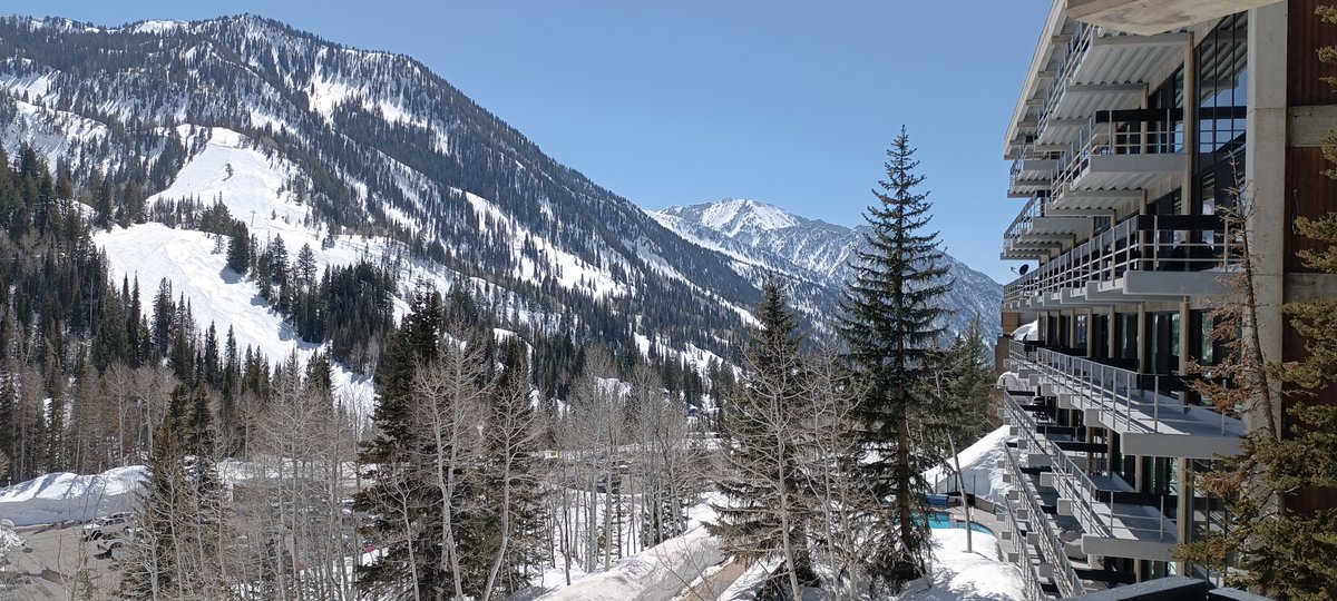 luisfholiveira's tweet photo. Great presentations and discussions last week at #KSMyeloid23 in beautiful Snowbird, UT. Proof that #dendriticcells are indeed a fascinating mystery yet to be fully uncovered, although we’re slowly getting there. (And I admit, I ended up growing special care for macrophages too) https://t.co/dcg53zUzbz