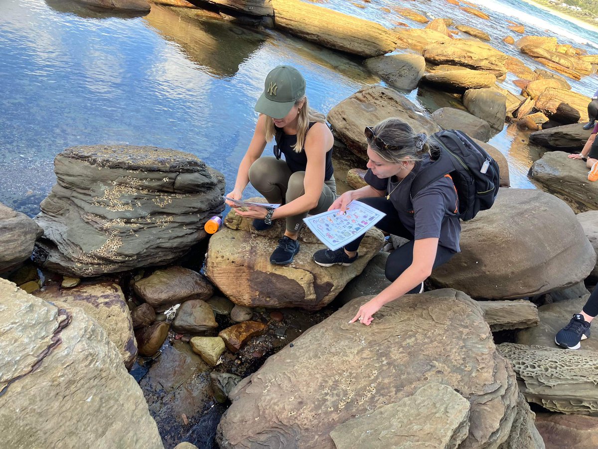 PrettyBeachPS's tweet photo. Great start to the term with our friends from @rumbalara_eec . We visited local sacred Aboriginal sites near Maitland Bay and searched the rock pools at Copacabana Beach for living species.
It was lovely hearing from Gavi about Aboriginal history and culture. #connecttocountry https://t.co/JCQwAWxH62