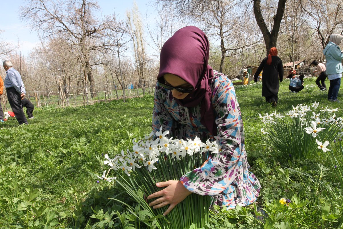 vadidoga's tweet photo. Vadi Doğa ailesi olarak bu haftasonu yine doğadaydık. Edremit Zerrinkadehlerini, Akdamar Adasıni ve Ters Laleleri ziyaret ettik.
Doğa çok güzel sen de gel.

🌿 Vadi Doğa sizi haritaların götürmediği yerlere götürür. https://t.co/IL85y01HWz