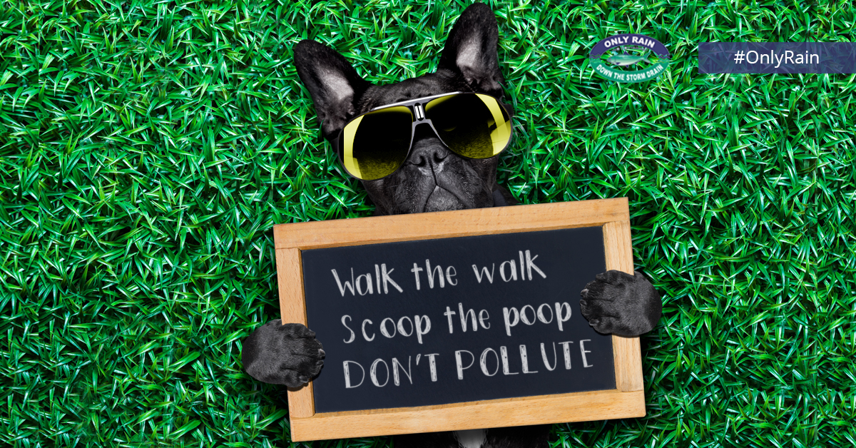 onlyrain_nova's tweet photo. #DYK that scooping the poop does more than just make you a good neighbor? It also keeps it from turning into polluted #stormwater runoff. #scoopthepoopweek https://t.co/tdCZJgtbj1 https://t.co/dfa2aLDOuB
