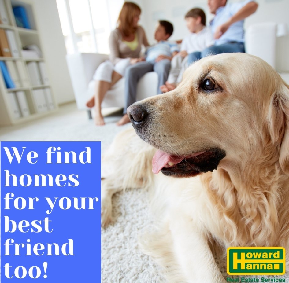 RichBaldi's tweet image. Who's ready to start home searching? 🏡😎
#BuyWithRich #ListWithRich #realestate
#RichTheRealtor