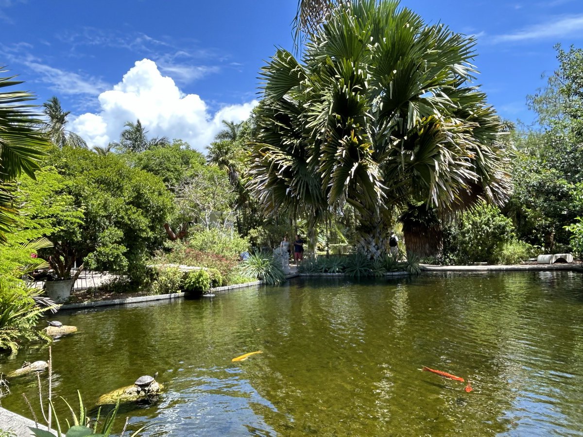 For the sake of our grandchildren, our planet needs our help. Every little bit helps #saveourplanet, #EarthDay2023