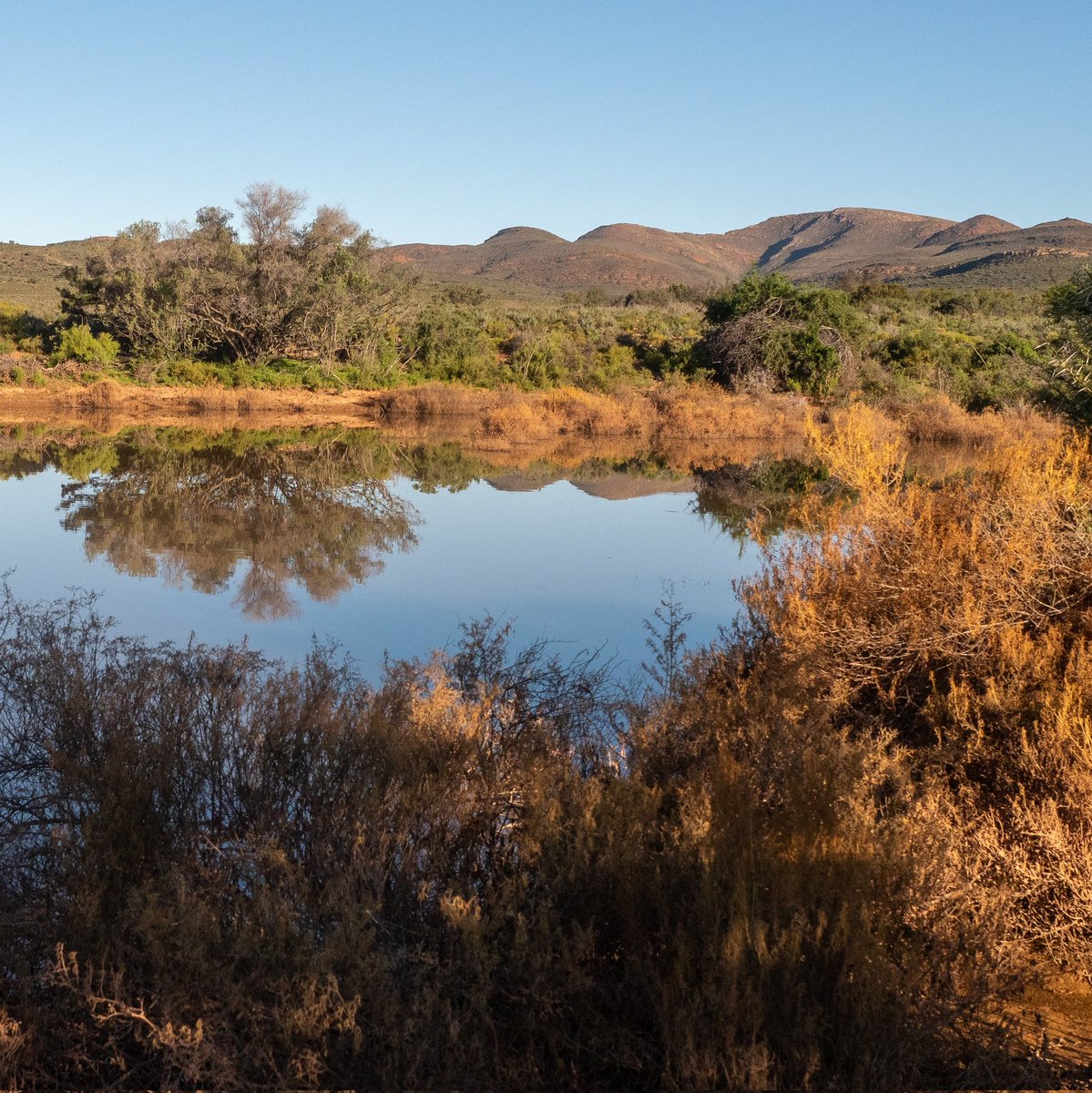 The Roaming Giraffe #Travel Writer tweet media