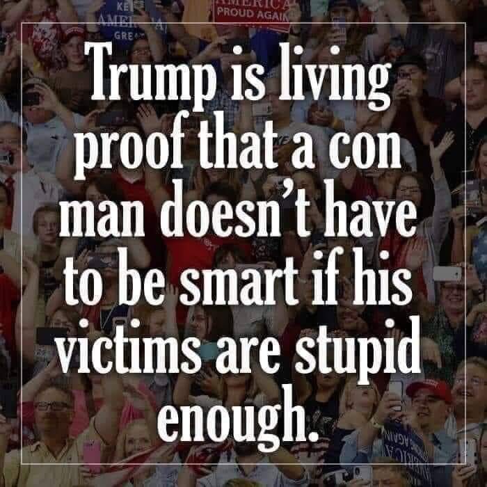 TimShea03304927's tweet image. They go by #MAGAMorons