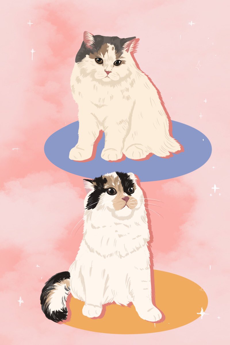 _thenys's tweet image. เปิดรับงานวาดรูปสัวต์เลี้ยง💓

(ราคาขึ้นกับรายละเอียดของน้องๆนะคะ🖍)
ราคาวาดเฉพาะ 100-200฿
ราคาวาดเต็มตัว 200-300฿

ติดต่อ line : @388nvvyp หรือจิ้ม link ด้านบน
#cat #dog #น้องแมว #commissionsopen #รับวาดรูป #commissionTH #Commission #ครอบครัว #กรอบรูป #วาดรูป