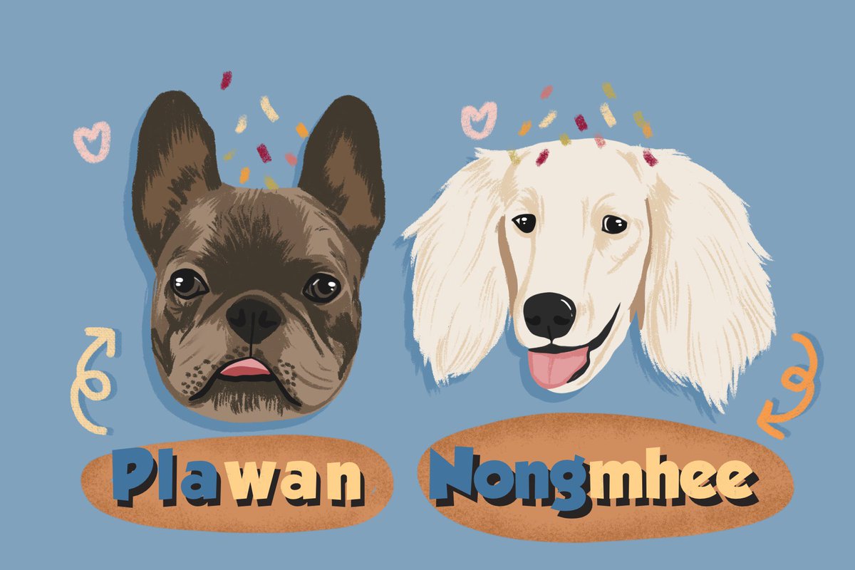 _thenys's tweet image. เปิดรับงานวาดรูปสัวต์เลี้ยง💓

(ราคาขึ้นกับรายละเอียดของน้องๆนะคะ🖍)
ราคาวาดเฉพาะ 100-200฿
ราคาวาดเต็มตัว 200-300฿

ติดต่อ line : @388nvvyp หรือจิ้ม link ด้านบน
#cat #dog #น้องแมว #commissionsopen #รับวาดรูป #commissionTH #Commission #ครอบครัว #กรอบรูป #วาดรูป