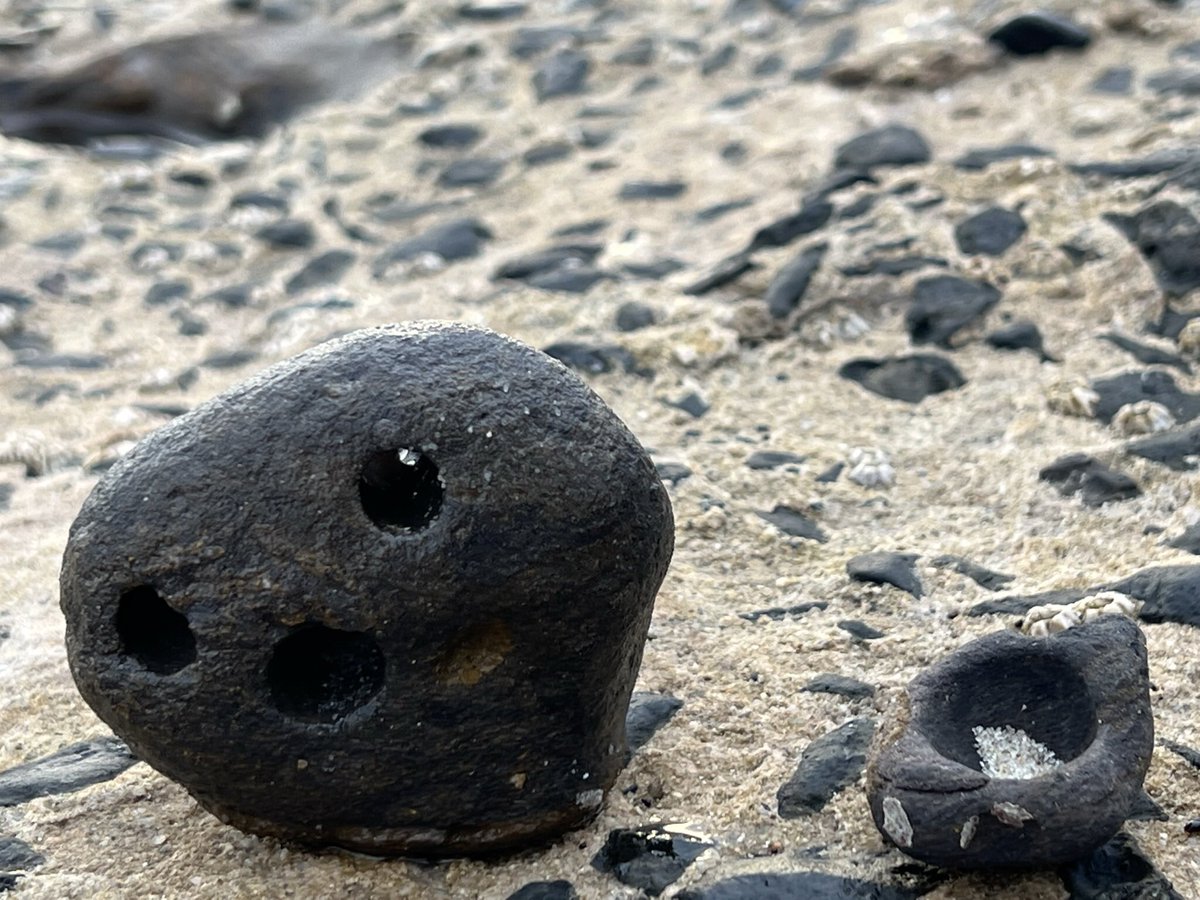 Adding a little friend to my previous #PebbleOfTheDay #JervisBay