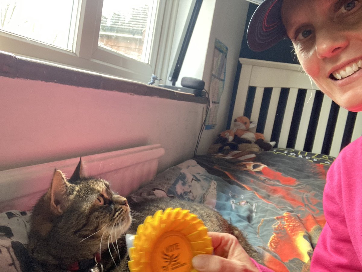 RebeccaLeach03's tweet photo. Last full week of canvassing so it’s time to introduce these vote winners….. May I introduce Arthur the Cocker Spaniel and Molly the snooty tabby 🐾🐾 They are both ardent Lib Dem supports 🗳️💛 https://t.co/JIFB15Q3DP