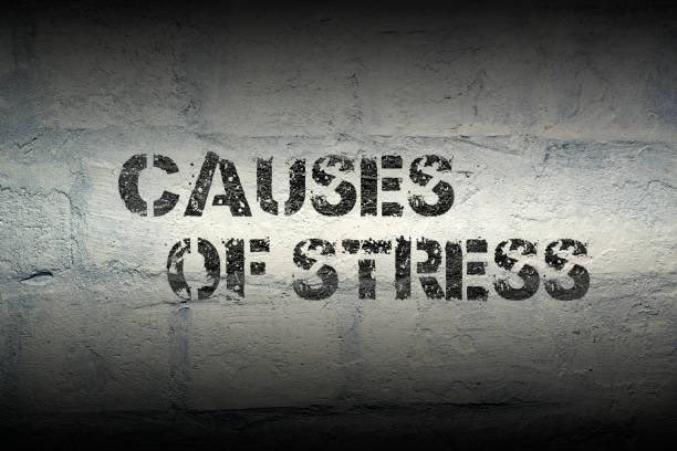 infrasami's tweet photo. Reasons for stress:

• No exercise
• No sunlight
• Garbage food
• Don't meditate
• Procrastination
• Poor sleep habits
• No passion/hobbies
• Too much social media
• Bad at managing your time
• Disconnected from yourself

Before you take pills. Fix the basics. https://t.co/5K4alKxe5u