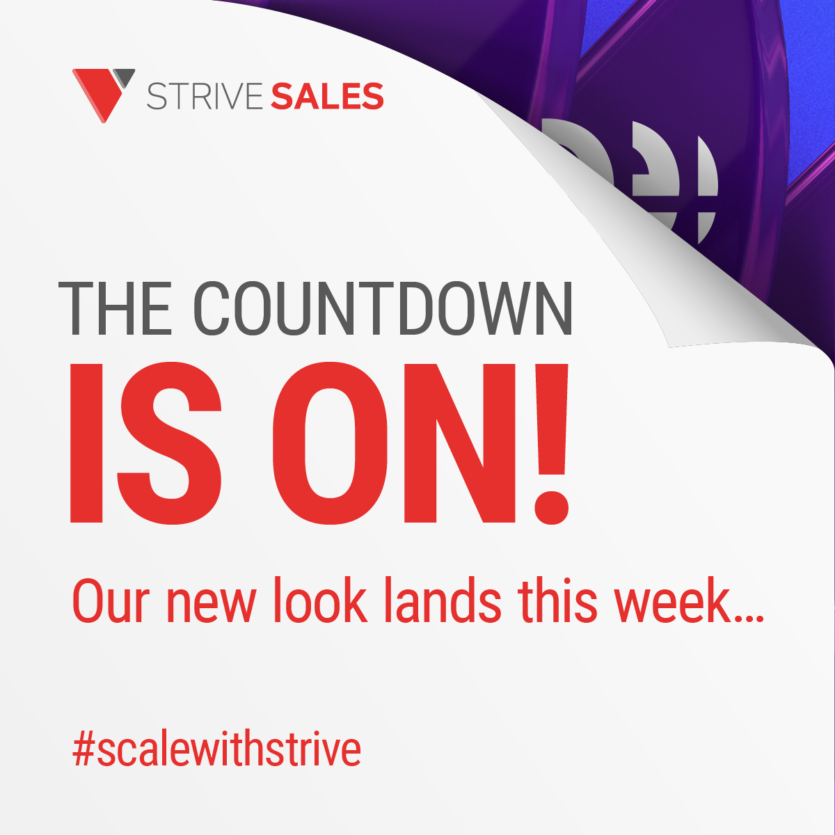 The Countdown is on!

Watch this space.....landing this week 👀

#scalewithstrive #companyannouncement #companynews