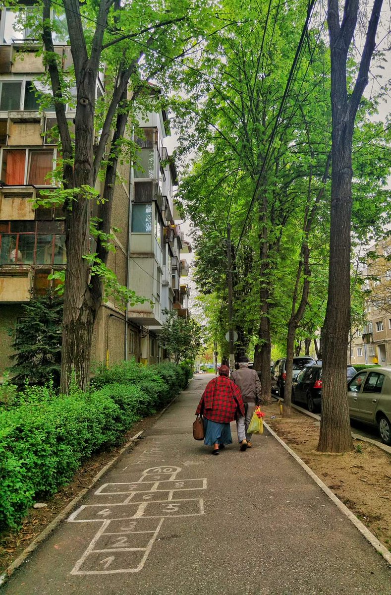 Travel_2Romania's tweet photo. 👥🌲🌳🌲🌿☘️🔝™️🌧️ Primăvară... Șotronul, jocul copilăriei, copacii verzi, doi bunici cu pas egal si flori in sacoșă .
La Timișoara!🦋❤️🌿
#timisoara #visittimisoara
📸 Adrian T Photographer
#DiscoverRomania https://t.co/hV0gsYCv2c